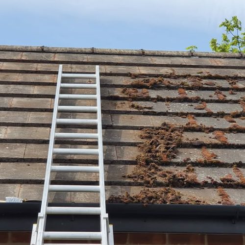 Roof Gutter Cleaning image Roof Gutter Cleaning image